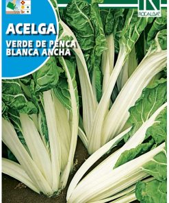 Semillas de Acelga verde de penca blanca (10 gr.)