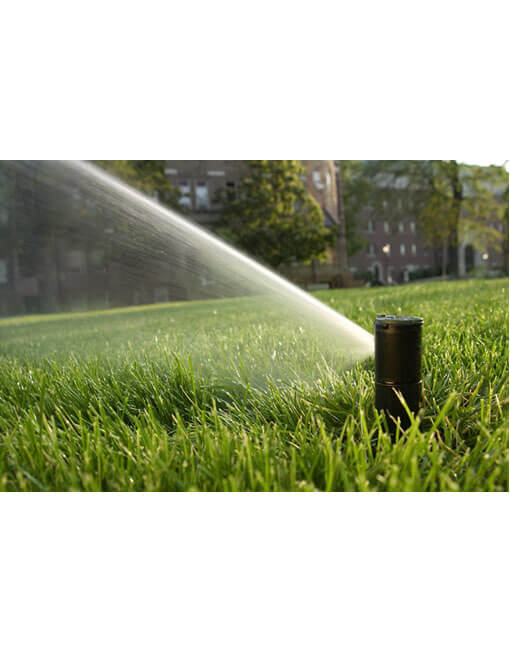 Aspersor Emergente De Turbina Rain Bird Serie 5000 PLUS - Imagen 4