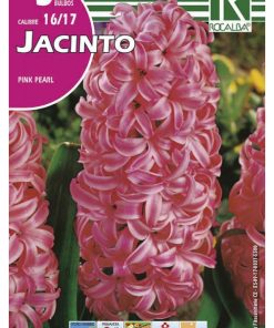 Bulbos de Jacinto Pink Pearl 16/17 (3 unidades)