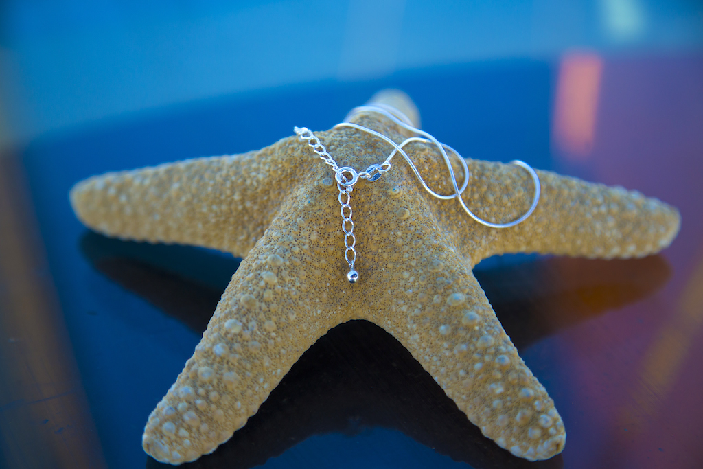 Colgante timón de plata con cadena - Imagen 4