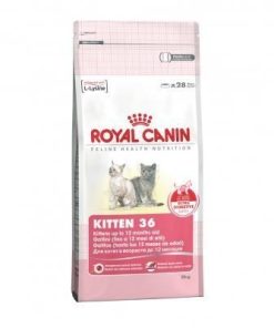 Comida para gatos de 4 a 12 meses Royal Canin Kitten 36 (0,4 Kg.)