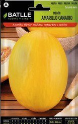 Semillas Melón Amarillo Canario