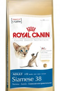 Comida para gatos Royal Canin Siamese 38 (10 Kg.)
