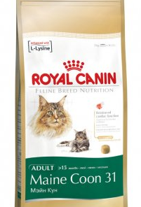 Comida para gatos Maine Coon Royal Canin Maine Coon 31 (10 Kg.)