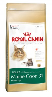 Comida para gatos Maine Coon Royal Canin Maine Coon 31 (10 Kg.)
