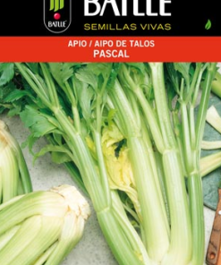 Semillas de Apio lleno blanco Pascal (3 gr.)