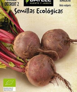 Semillas ecológicas de Remolacha Detroit 2