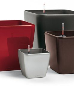 Hidrojardinera autoriego Lechuza Cuadro 21 cm. color negro