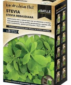 KIT Stevia Rebaudiana Batlle