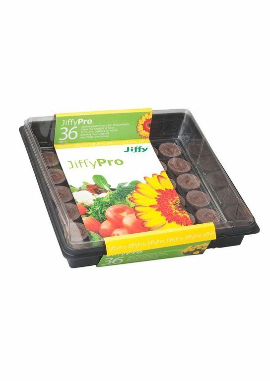Jiffy-7 Bandeja Invernadero 36 Pastillas