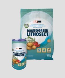 MASSOGREEN LITHOSECT