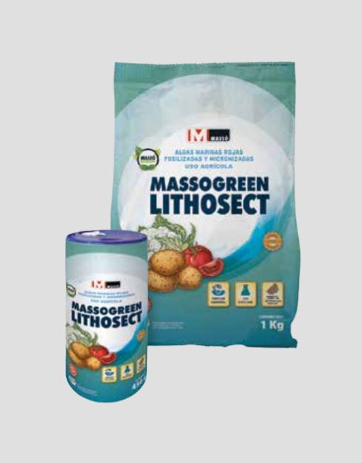 MASSOGREEN LITHOSECT